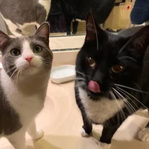 Meet your Posher, Machiko